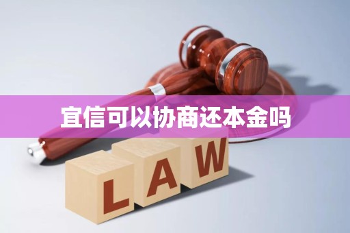 宜信贷款能否协商偿还本金？—— 一份法律与实务角度的分析